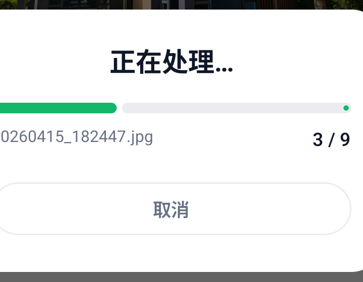 正在处理