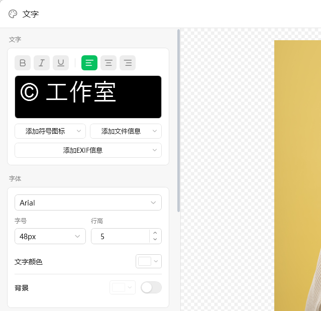 文字水印编辑窗口