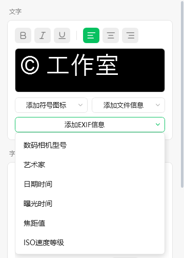插入 EXIF 占位符
